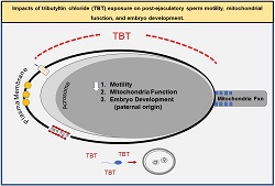 Graphical Abstract Image