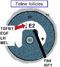 Graphical Abstract Image