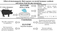 Graphical Abstract Image