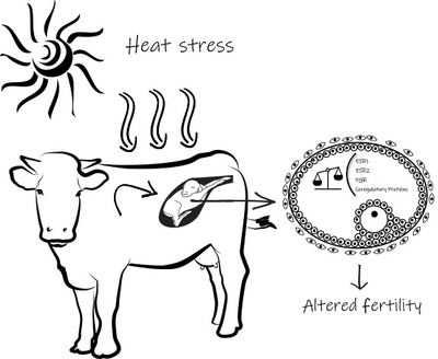 Graphical Abstract Image