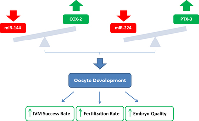 Graphical Abstract Image