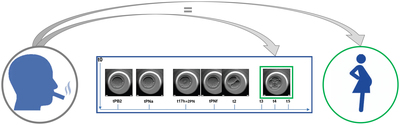 Graphical Abstract Image