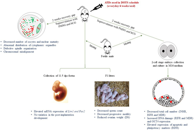 Graphical Abstract Image