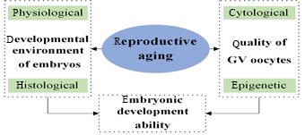 Graphical Abstract Image