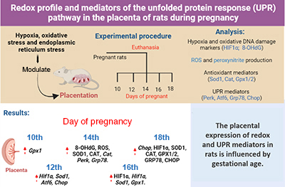 Graphical Abstract Image