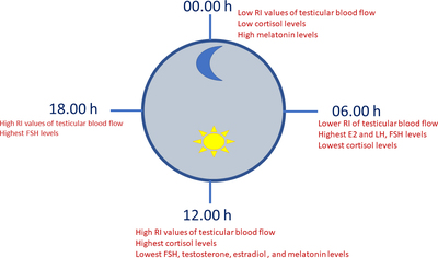 Graphical Abstract Image