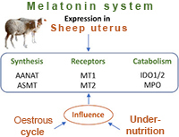 Graphical Abstract Image