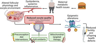 Graphical Abstract Image