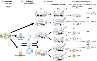 Graphical Abstract Image