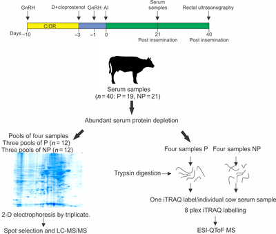 Graphical Abstract Image