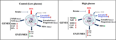 Graphical Abstract Image