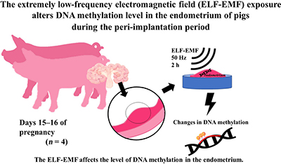 Graphical Abstract Image