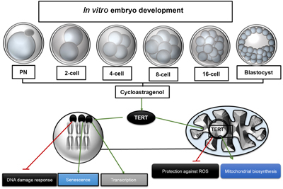 Graphical Abstract Image