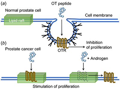 Graphical Abstract Image