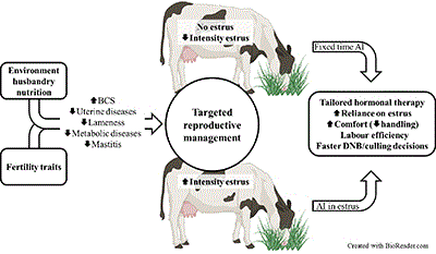 Schematic of factors associated with early postpartum resumption of ovarian cyclicity and high intensity oestrus.