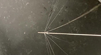 Image of the novel 16G double-lumen needle (‘OxIVF’), showing how it flushes laterally to the needle shaft.