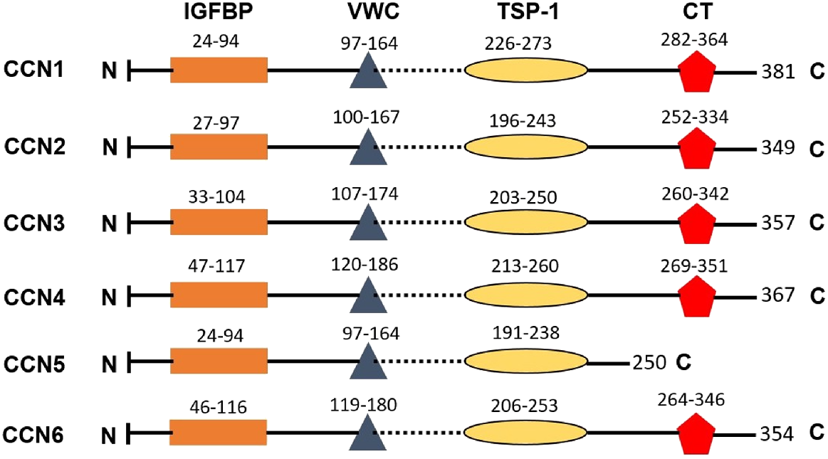 YY CSIRO PUBLISHING | Reproduction, Fertility and Development
