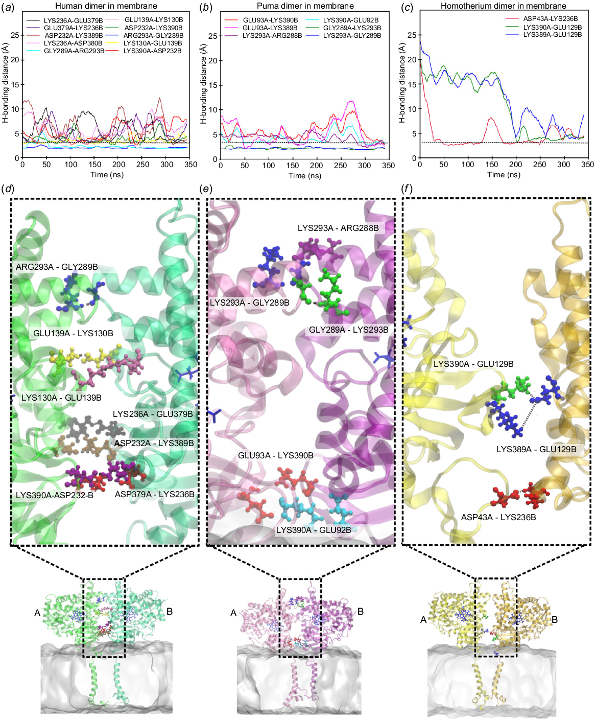 RD25062_F5.gif