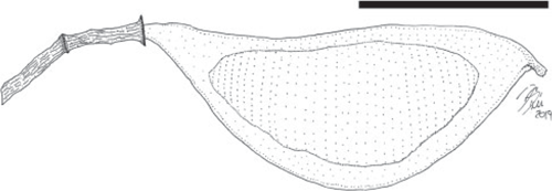 F11