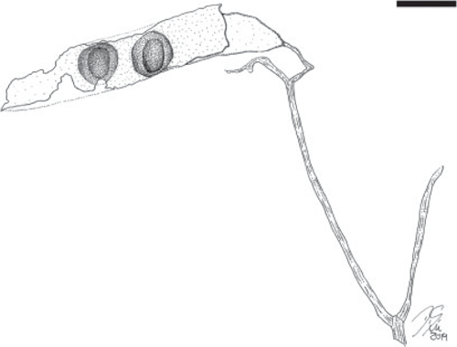 F8