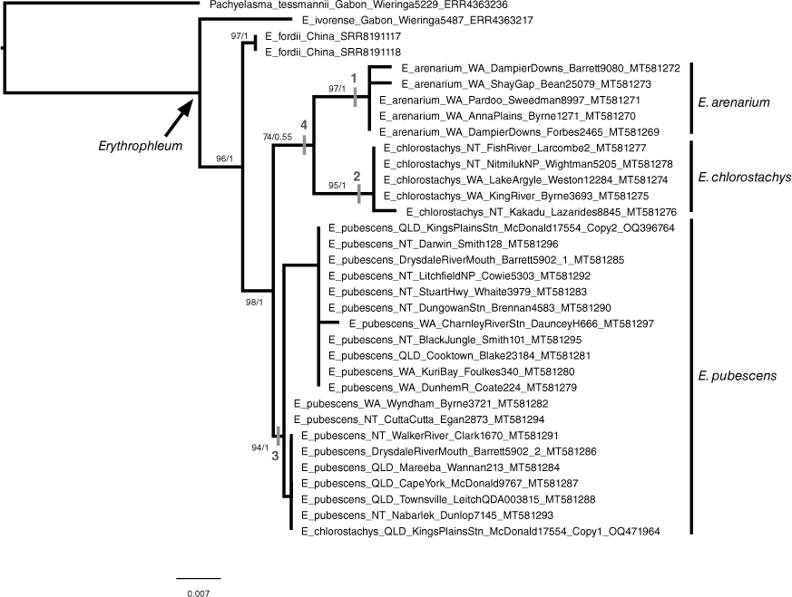 SB23007_F1.gif