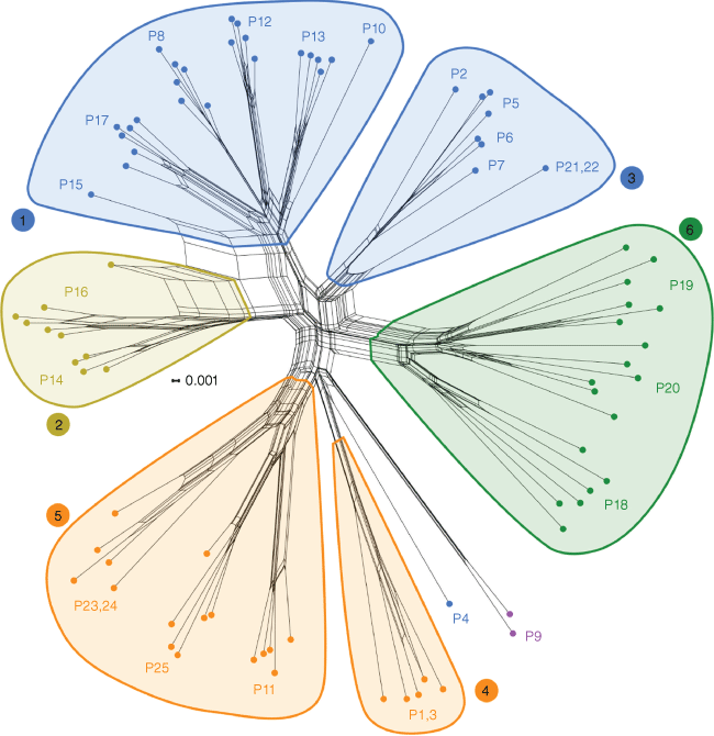 SB23010_F5.gif