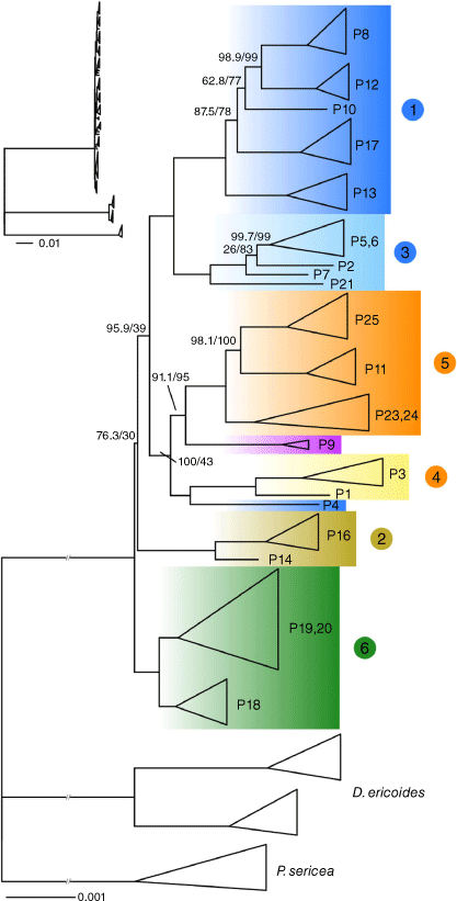 SB23010_F6.gif