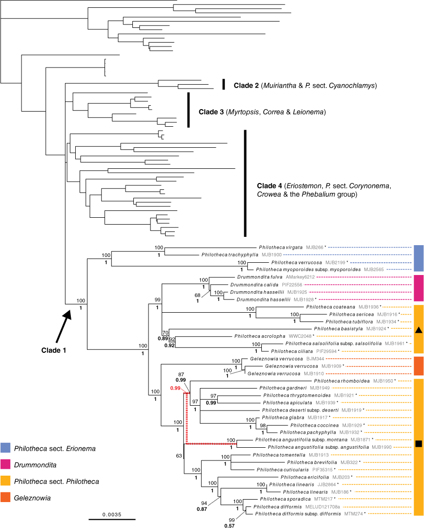 SB23011_F4.gif