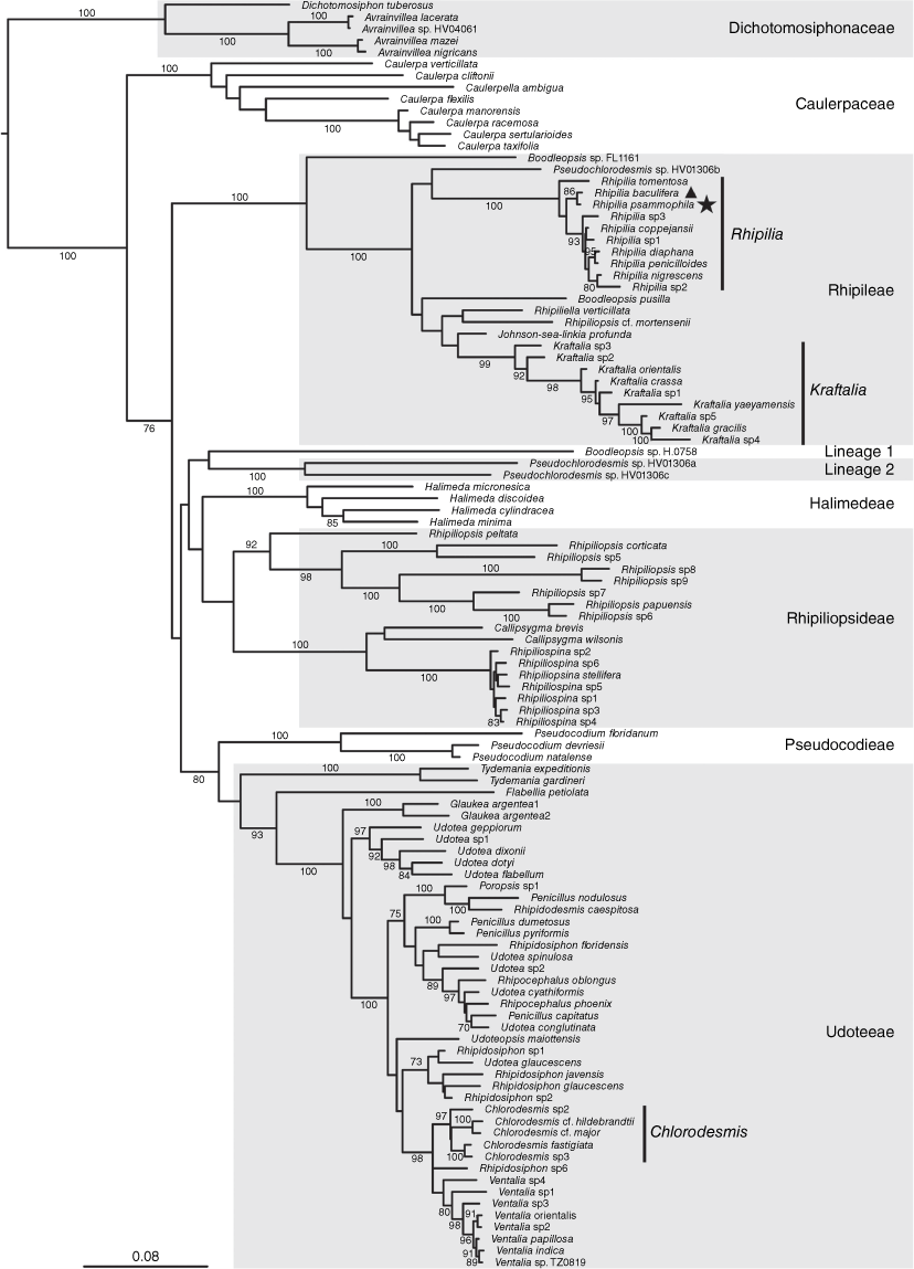 SB23016_F1.gif