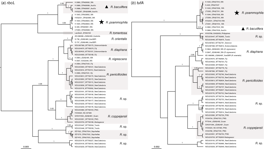 SB23016_F2.gif
