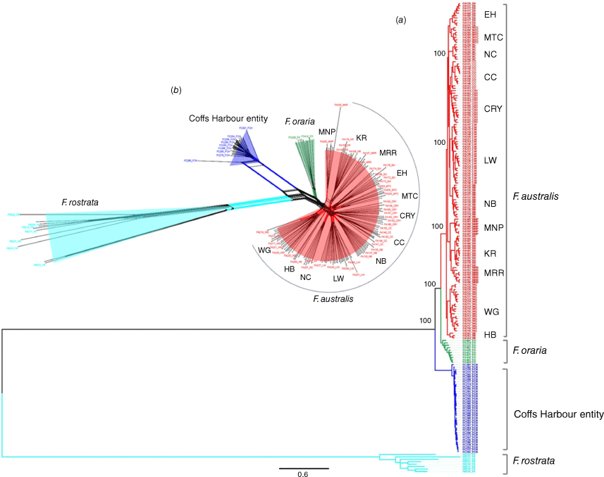 SB23024_F3.gif