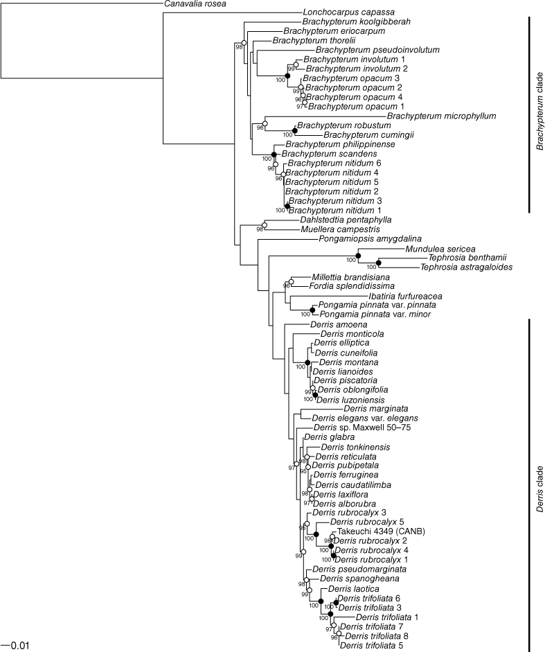 SB23030_F1.gif