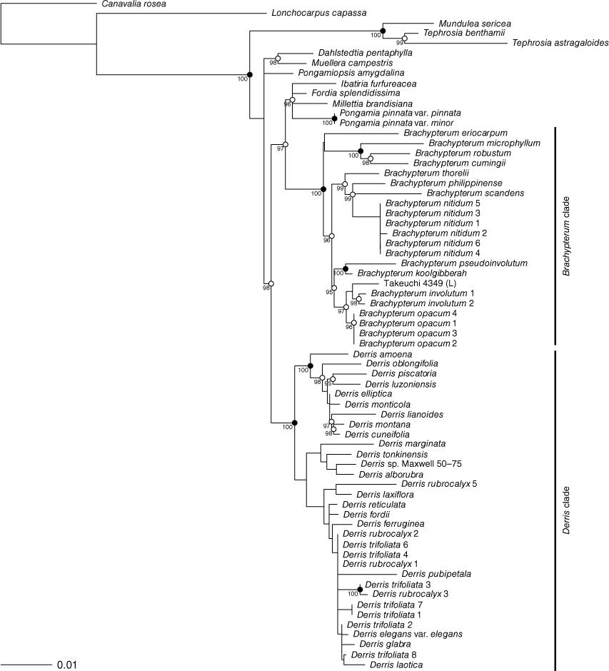 SB23030_F2.gif