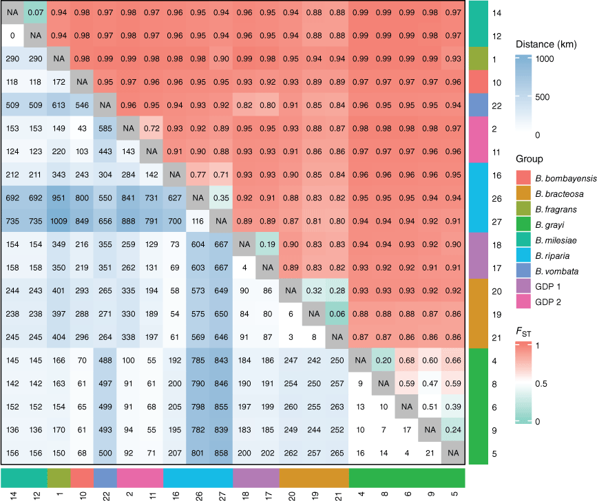 SB23031_F4.gif