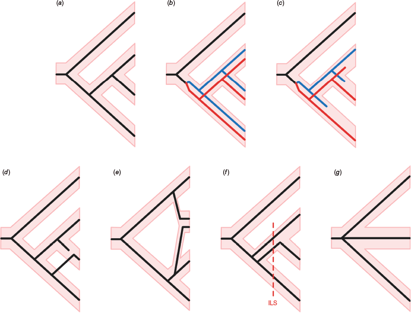 SB24011_F2.gif