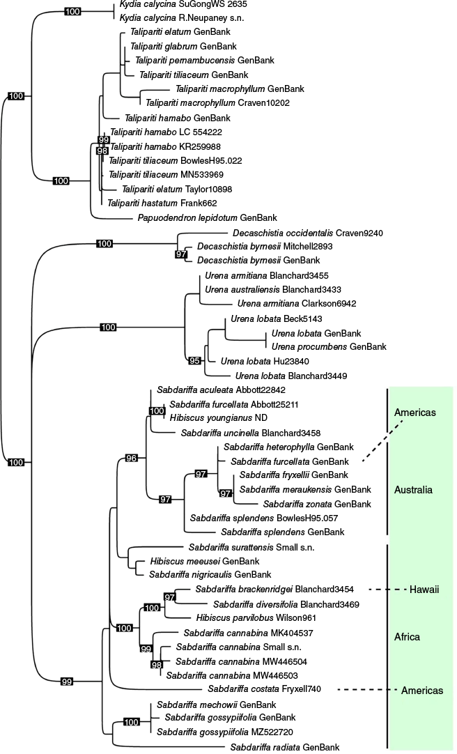 SB24013_F6.gif