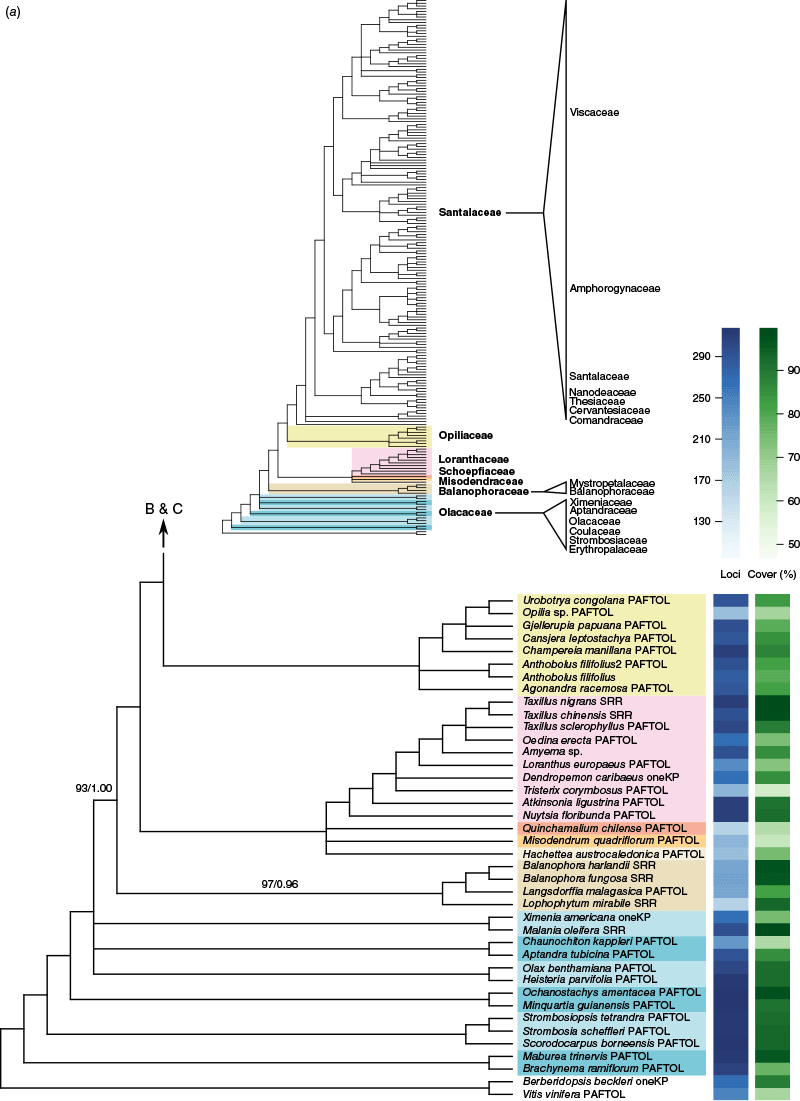 SB24026_F1a.gif