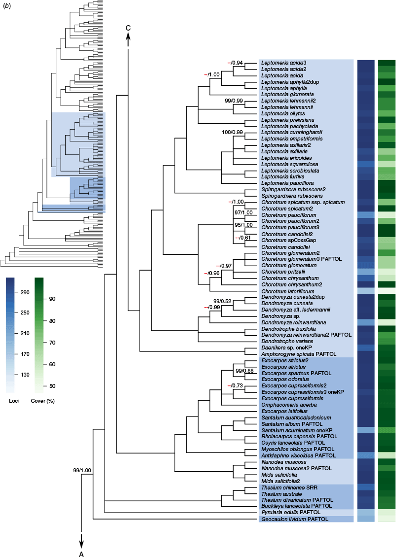 SB24026_F1b.gif