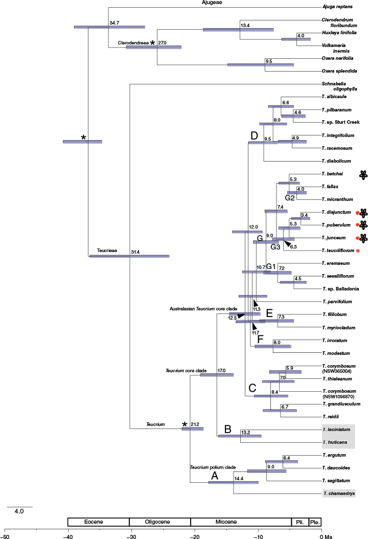 SB24027_F6.gif