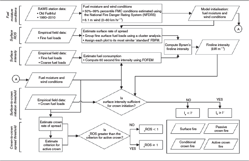 Csiro Org Chart