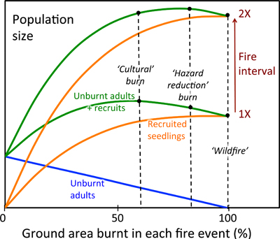 Graphical Abstract Image