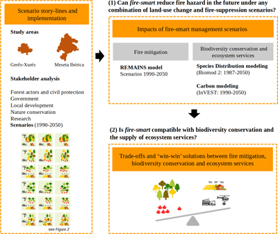 Graphical Abstract Image