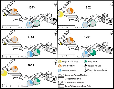 Graphical Abstract Image