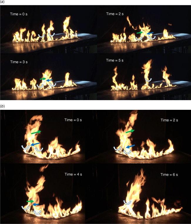 WF23048_F13.gif