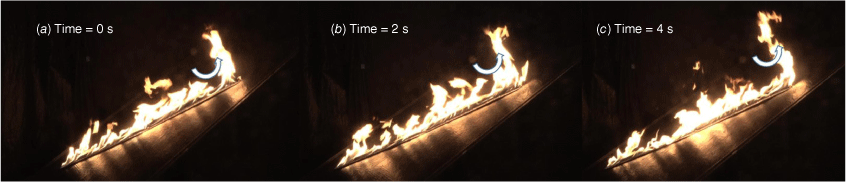 WF23048_F4.gif