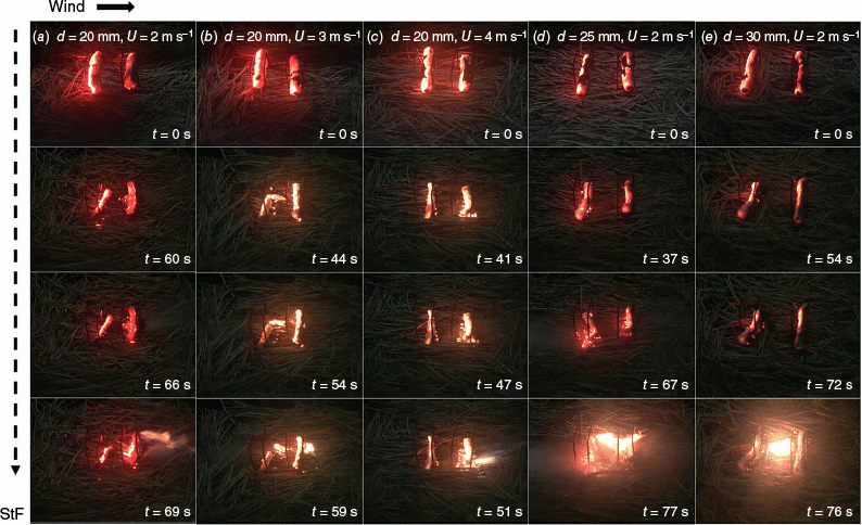 WF24133_F5.gif