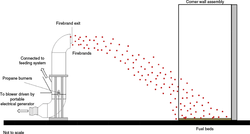 WF25021_F17.gif