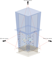 Schematic of firebrand particle tracks within a wind tunnel captured by front, left and top-view video cameras