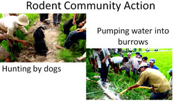 Graphical Abstract Image