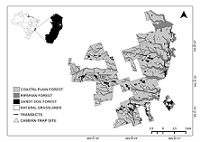 Graphical Abstract Image